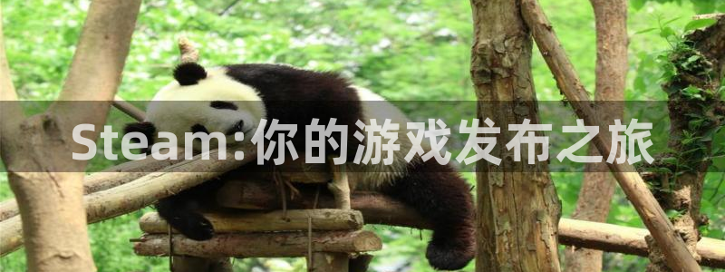 lvnces非凡游戏官网衣服价格：Steam:你的游戏发布之旅
