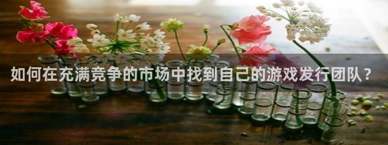 非凡游戏登录注册不了：如何在充满竞争的市场中找到自己的游戏发行团队？