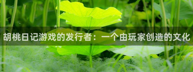 非凡游戏平台怎么样啊