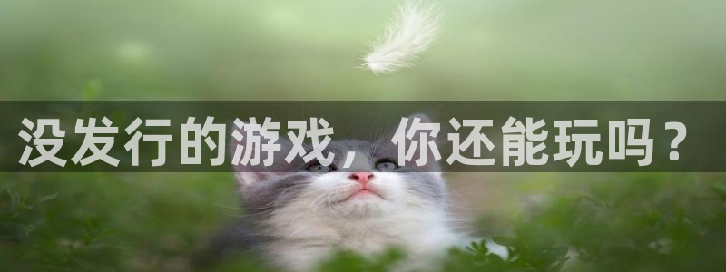 非凡游戏官网电子商务有限公司怎么样