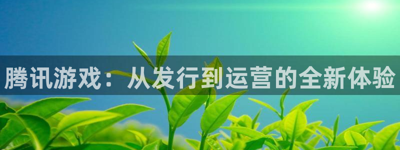 非凡游戏官网子文化创意有限公司