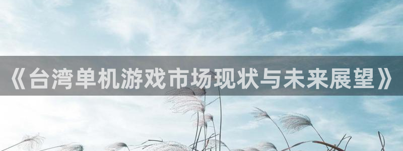 非凡游戏登录注册账号安全吗是真的吗：《台湾单机游戏市场现状与未来展望》