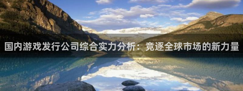 非凡游戏官网衣服怎么样：国内游戏发行公司综合实力分析：竞逐全球市场的新力量
