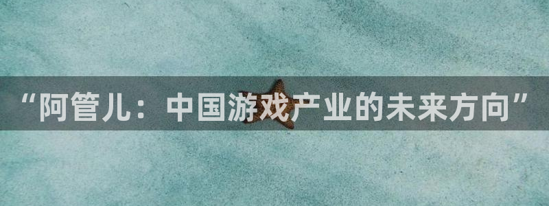 非凡游戏价 5O6917 非凡游戏官网：“阿管儿：中国游戏产业的未来方向”