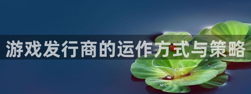 非凡游戏官网子文化创意做什么的：游戏发行商的运作方式与策略