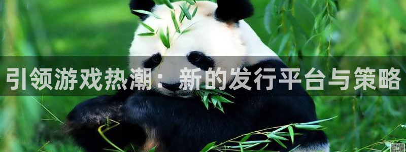 非凡游戏怎么注册账号