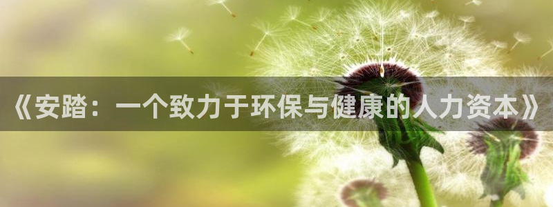 k1体育网址是多少