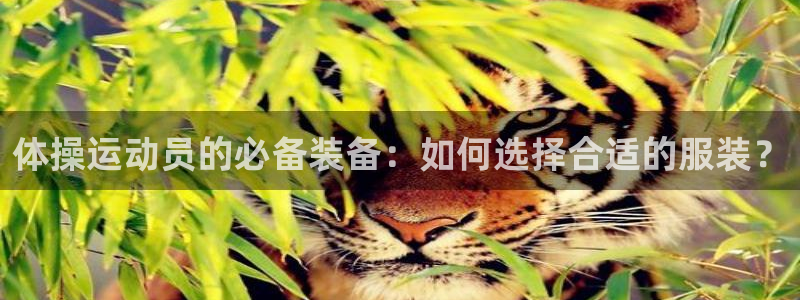 k1体育平台下载