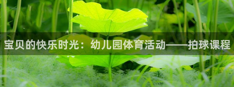 k1体育棋牌网址